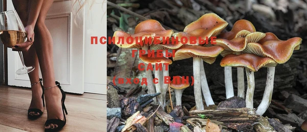 синтетический гашиш Алексеевка