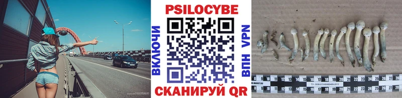 Псилоцибиновые грибы мицелий  Арсеньев 